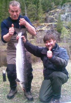 Laksefangstene 2010: Første laks på land i Bjøra!